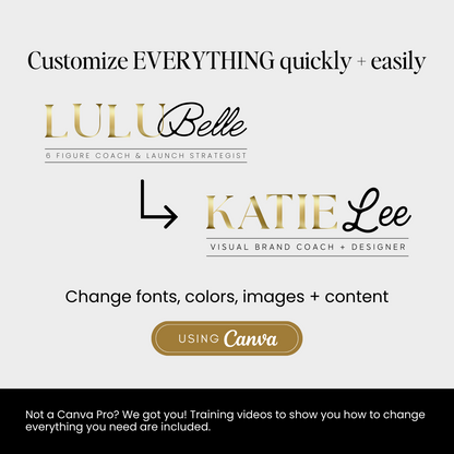 The &quot;Lulu&quot; Brand Kit In-A-Box